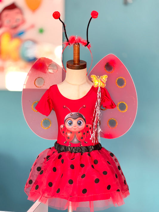 Disfraz de Mariquita